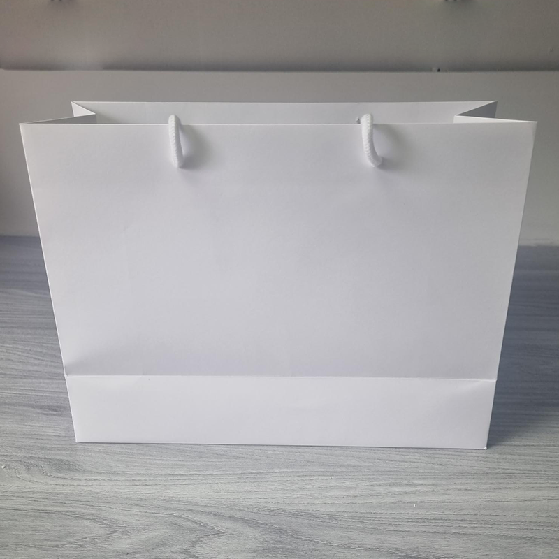 Blank Gift Bag